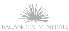Bacanora Minerals Ltd logo